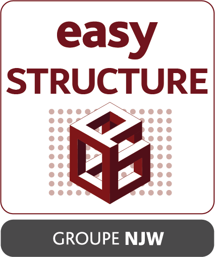 Logo EASY STRUCTURE BLANC